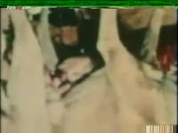 Dog eats pussy of sexy teen and fuck it hard